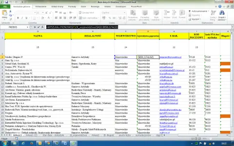 Tabela z danymi klientów, zawierająca analizę wyników: nazwy firm, branże, województwa i adresy e-mail.