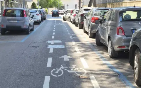 Strada a senso unico con corsia ciclabile delimitata da strisce bianche e blu. Auto parcheggiate lungo il lato destro.