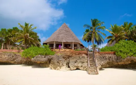 Tropikalny domek z krytym strzechą dachem na skale, obok palm. Marzysz o podróży? Sprawdź, ile się leci na Zanzibar!
