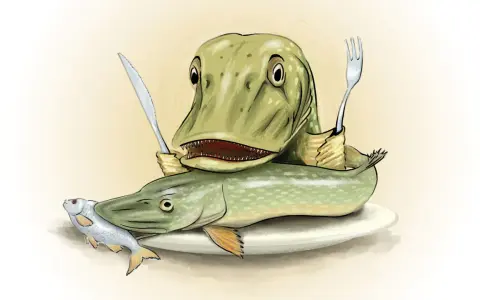 Ein grüner Hecht mit Messer und Gabel sitzt auf einem Teller, bereit, einen anderen Hecht zu fressen. Ein kleiner Fisch liegt daneben.