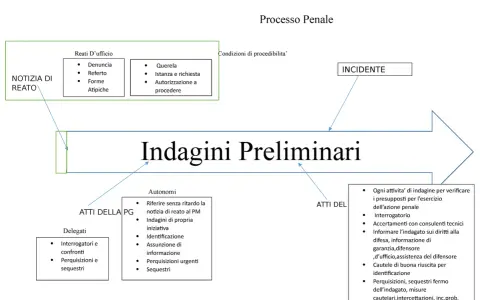 Schema del processo penale: dalla notizia di reato alle indagini preliminari, con dettagli su atti e deleghe. Sommarie informazioni 351.
