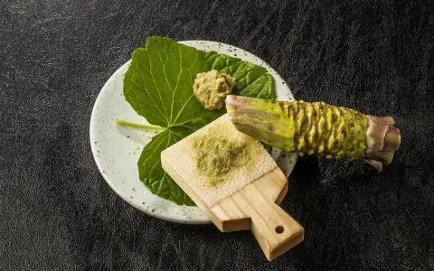 Świeży korzeń wasabi i pasta na tarce. Czy wasabi jest zdrowe? Tak, zawiera cenne składniki.