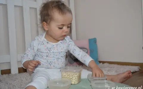 Roczne dziecko bawi się fasolkami w pojemnikach. Proste zabawy dla rocznego dziecka rozwijają motorykę małą.