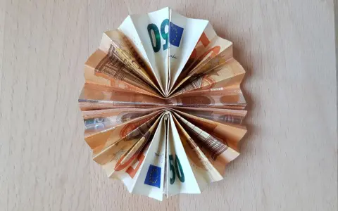 Gefaltetes Geld, wie ein Fächer, mit 50-Euro-Scheinen. Ein schlauer Fuchs spart sein Geld.