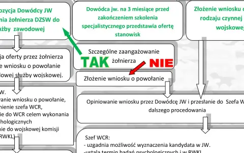 Jak zostać żołnierzem zawodowym? Przewodnik, zarobki, benefity.