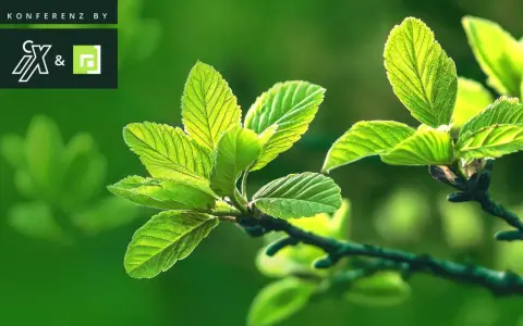 Frische grüne Blätter im Sonnenlicht, symbolisch für das Erwachen im Frühling. Konferenz by CX&.