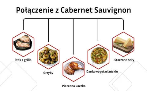 Cabernet Sauvignon jakie to wino? Idealne do steków z grilla, pieczonej kaczki, grzybów, dań wegetariańskich i starzonych serów.