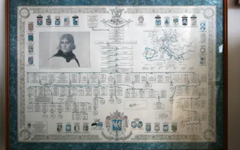 Arbre généalogique détaillé de la famille Bonaparte, incluant un portrait de Napoléon et une carte de l'Europe. Ces archives napoléoniennes numérisées offrent un aperçu fascinant de l'histoire familiale.