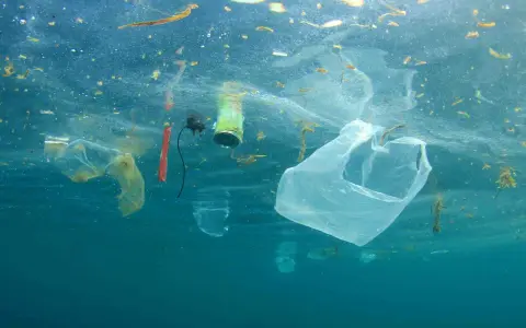 Sacchetti di plastica e rifiuti galleggiano nell'oceano, un triste promemoria che ci sono 5 modi per salvare il mare.