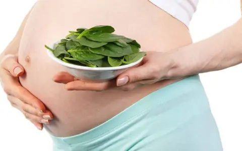 Schwangerer Bauch hält Schüssel mit frischem Spinat. Spinat stillen für gesunde Schwangerschaft.
