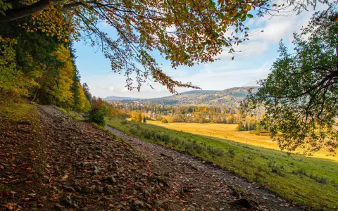 Jesienny szlak prowadzi do malowniczego widoku na Zakopane, idealne miejsce, by zobaczyć, co zwiedzić w okolicy.
