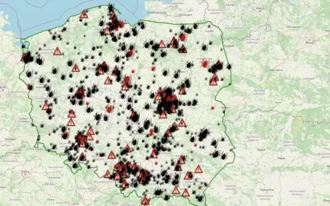 Gdzie jest najwięcej kleszczy w Polsce? Unikaj tych miejsc!
