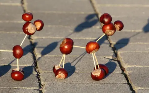 Figuras hechas con castañas y palillos, una divertida manualidad castaña que parece una molécula o un robot.