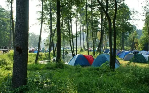 Kolorowe namioty rozstawione na trawie tworzą malownicze pole namiotowe w Świętokrzyskiem, otoczone zielenią i drzewami.