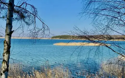 Turkusowa woda jeziora, trzciny i drzewa tworzą krajobraz przypominający polskie Malediwy w Koninie.