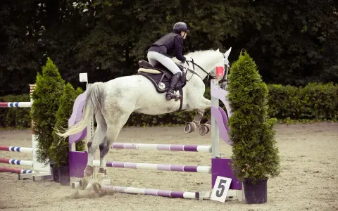 Un cavalier et un jeune cheval blanc sautent un obstacle lors d'une compétition équestre.