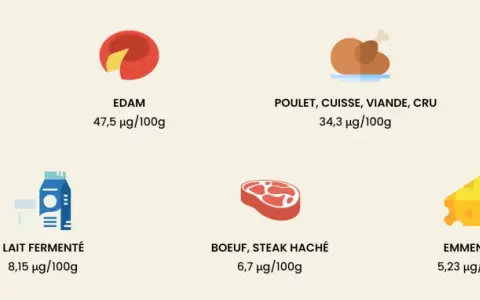 Le foie est le champion de la vitamine K2, suivi par l'Edam et le poulet. D'autres aliments comme le jaune d'œuf et le lait fermenté en contiennent aussi.