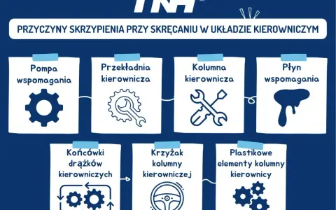 Przyczyny skrzypienia przy skręcaniu: pompa, przekładnia, kolumna, płyn wspomagania, końcówki drążków, krzyżak kolumny, plastikowe elementy kolumny.