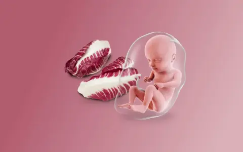 Feto a 25 settimane di gravidanza, accanto a foglie di radicchio.