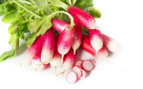 Un bouquet de radis de 18 jours, aux couleurs vives rose et blanc, avec quelques rondelles coupées.