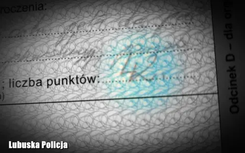 Fragment dokumentu z napisem "liczba punktów" i widoczną liczbą 14.