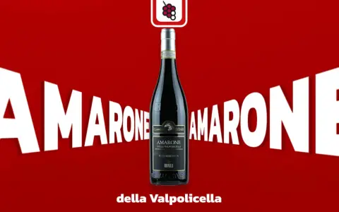 Eine Flasche Amarone della Valpolicella steht im Fokus, umgeben von riesigen weißen Buchstaben, die "Amarone" buchstabieren.