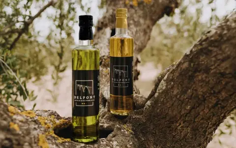 Dos botellas de aceite de oliva virgen extra Delpont, el mejor aceite del Matarraña, descansan sobre la rama de un olivo centenario.