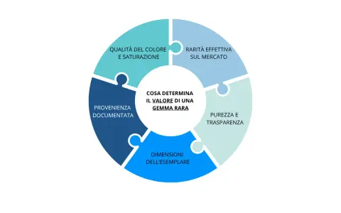 Diagramma a cerchio che illustra i fattori che determinano il valore di una gemma rara: qualità, rarità, purezza, dimensioni e provenienza.