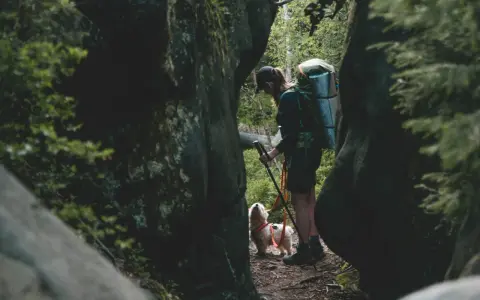 Wędrowiec z psem przemierza skalistą ścieżkę. W tle widać zalesione wzgórza, a całość przypomina malowniczą Lisia Przełęcz.