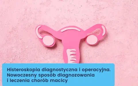 Różowa grafika macicy z jajowodami. Histeroskopia diagnostyczna i operacyjna to nowoczesny sposób diagnozowania i leczenia chorób macicy.