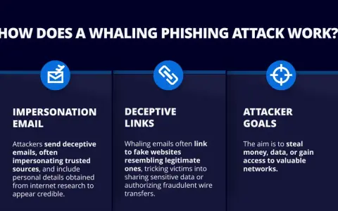 Grafik erklärt, wie Whaling Phishing funktioniert: gefälschte E-Mails, irreführende Links und das Ziel, Daten oder Geld zu stehlen.