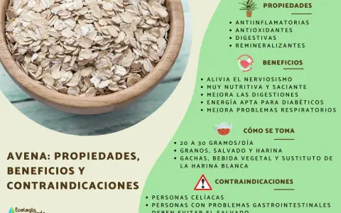 Avena: sus propiedades antiinflamatorias, antioxidantes y digestivas. Beneficios y cómo consumirla.