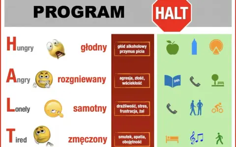 Program HALT: głodny, rozgniewany, samotny, zmęczony. Plan na wyjście z terapii obejmuje zdrowe jedzenie, rozmowę, odpoczynek i aktywność.