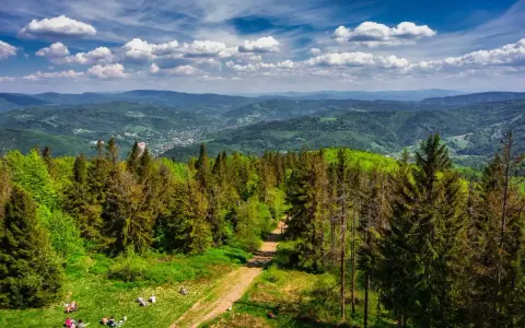 Piękny widok na Beskid Śląski z lasem iglastym i polaną, gdzie odpoczywają ludzie. W oddali widać góry i miasteczko.