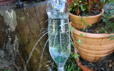 Ingegnosa irrigazione a goccia senza corrente con bottiglie di plastica, che forniscono acqua alle piante in vaso.