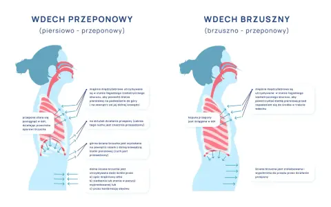 Ilustracja pokazuje dwa rodzaje wdechu: piersiowo-przeponowy i brzuszno-przeponowy. W obu przypadkach kluczowe jest **oddychanie przeponowe**, które angażuje przeponę do głębszego wdechu.