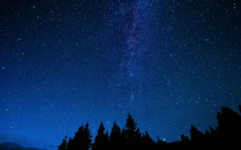 Ein tiefblauer Nachthimmel mit einem faszinierenden **galaxy muster** aus Sternen und der Milchstraße über einer dunklen Silhouette von Bäumen.