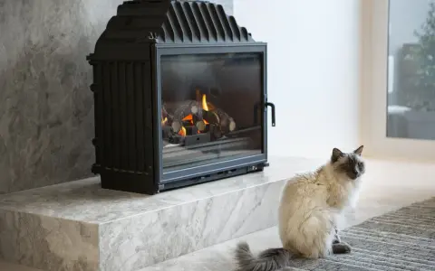Kot siedzi obok nowoczesnego kominka, który zapewnia doprowadzenie powietrza do paleniska.