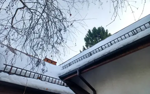 Dach stromy pokryty śniegiem, z drabinkami zabezpieczającymi przed lawinami. Gałęzie drzew wiszą nad nim.