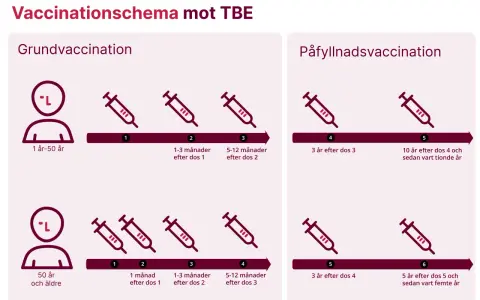 Schema för TBE-vaccination i Västerbotten. Grundvaccination och påfyllnadsdoser visas för olika åldrar.