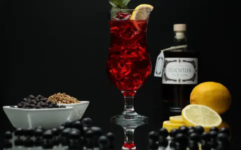 Ein erfrischender Sloe Gin Fizz mit Zitrone und Minze, umgeben von Schlehen und Wacholderbeeren.