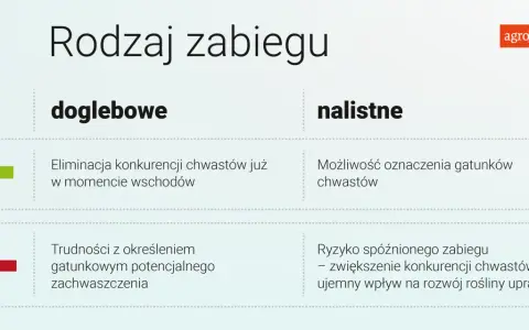 Porównanie zabiegów doglebowych i nalistnych. Herbicydy na chwasty – eliminacja konkurencji już od wschodów lub możliwość oznaczenia gatunków.