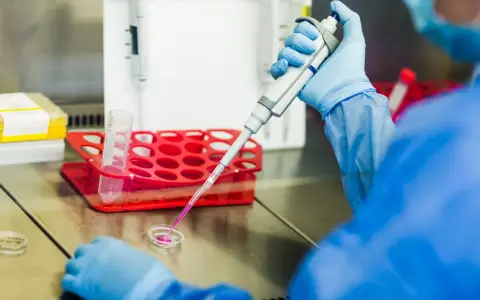 Naukowczyni w niebieskim fartuchu pobiera pipetą próbkę, która może być cenną **krwią pępowinową**, do dalszych badań laboratoryjnych.