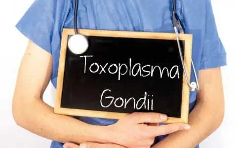 Toksoplazmoza objawy psychiczne: niebezpieczne skutki dla zdrowia