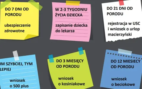 Terminy formalności po porodzie: ubezpieczenie zdrowotne (7 dni), rejestracja dziecka i wniosek o urlop macierzyński (21 dni), 500+, becikowe, kosiniakowe.