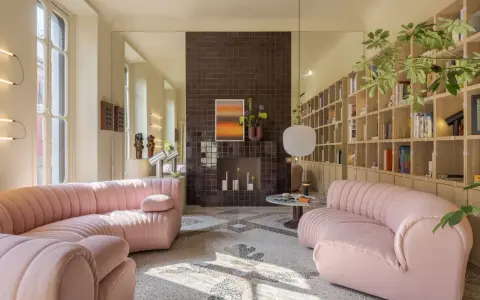 Divani rosa in un luminoso open space con camino moderno e libreria a parete. Case moderne interni open space.