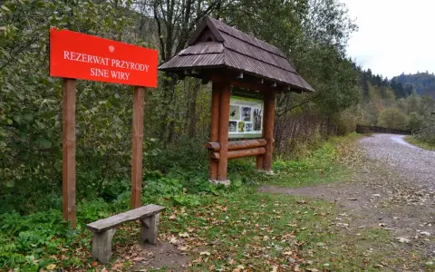 Czerwony znak "Rezerwat Przyrody Sine Wiry" i drewniana tablica informacyjna przy leśnej ścieżce.