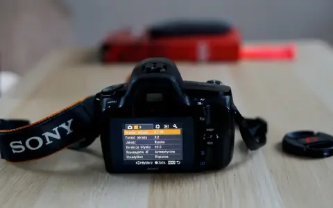 Lustrzanka Sony A290 - idealny wybór dla początkujących fotografów