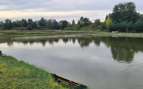 Spokojne łowiska komercyjne na Dolnym Śląsku, otoczone zielenią i drzewami, zapraszają na relaks nad wodą.