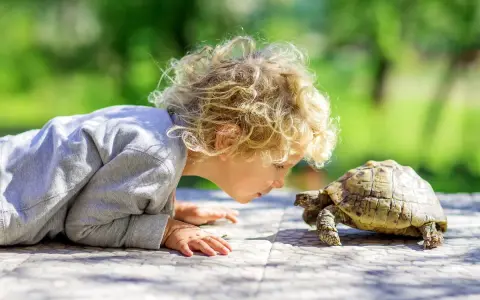 Dziecko z kręconymi blond włosami pochyla się nad żółwiem na zewnątrz.